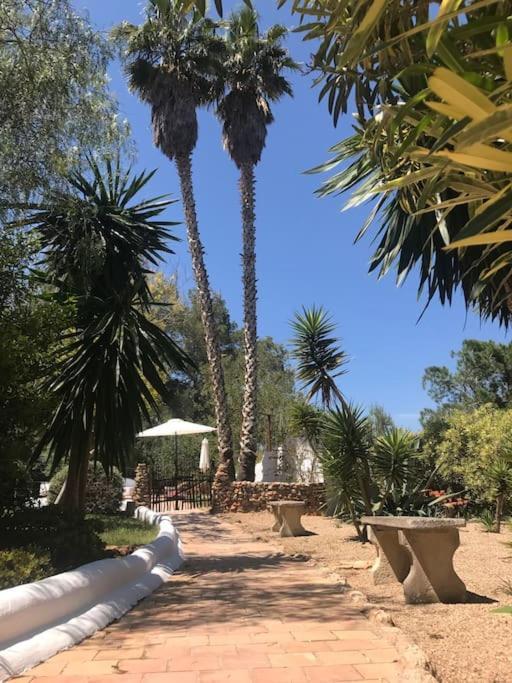 Casa Rosada - Gorgeous Family Finca Near Santa Gertrudis Villa Santa Gertrudis  Dış mekan fotoğraf